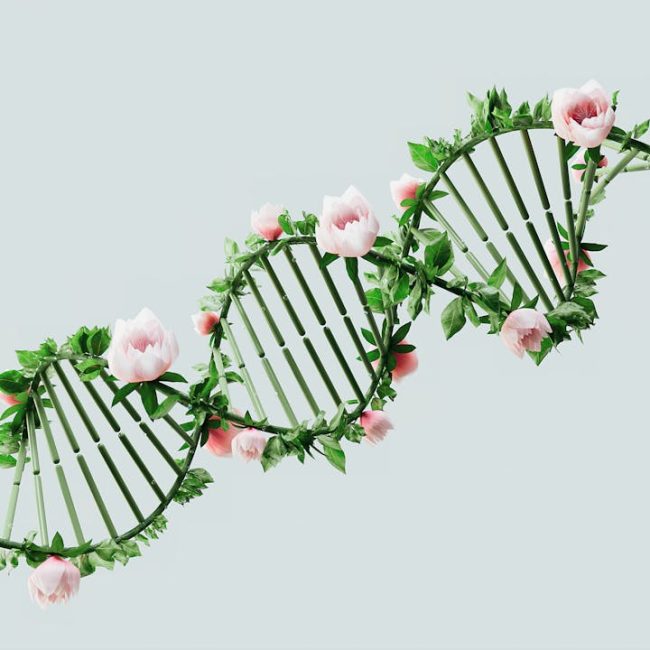 A creative representation of a DNA helix using flowers and leaves, symbolizing nature and biotechnology.